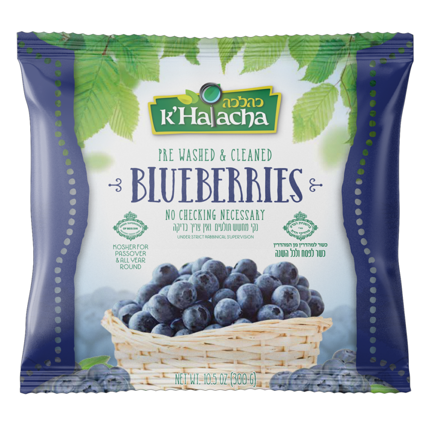 Blueberries Kosher Ice Cream